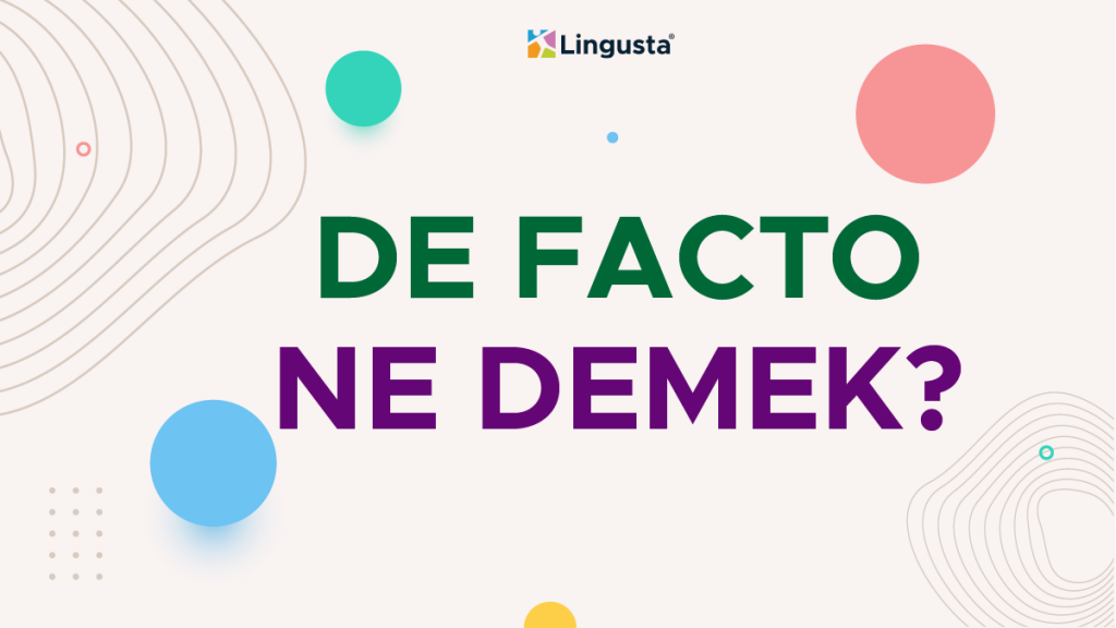 Defacto Ne Demek? Fiili Durumun Tam Anlamı ve Önemi