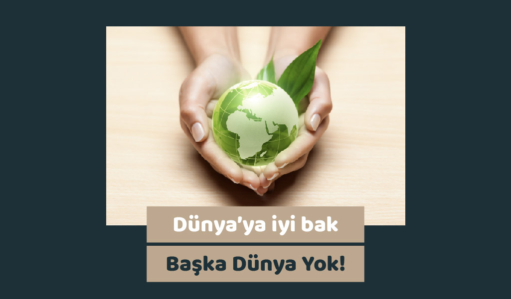 İklim Değişikliği: Bireysel Olarak Yapabilecekleriniz