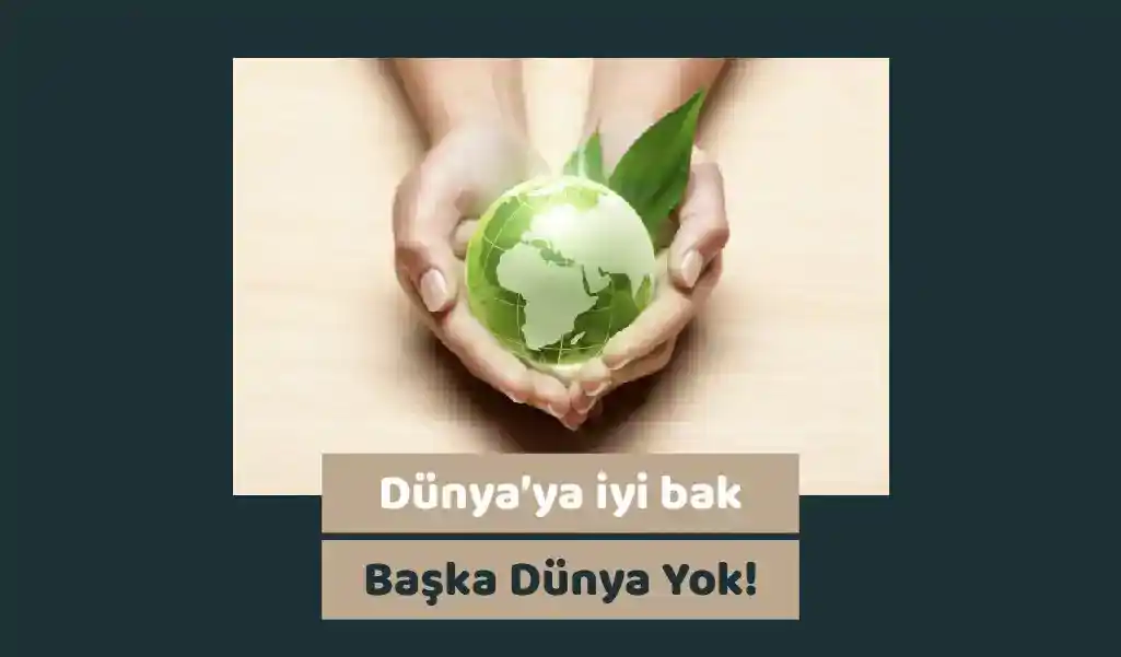 İklim Değişikliği: Bireysel Olarak Yapabilecekleriniz