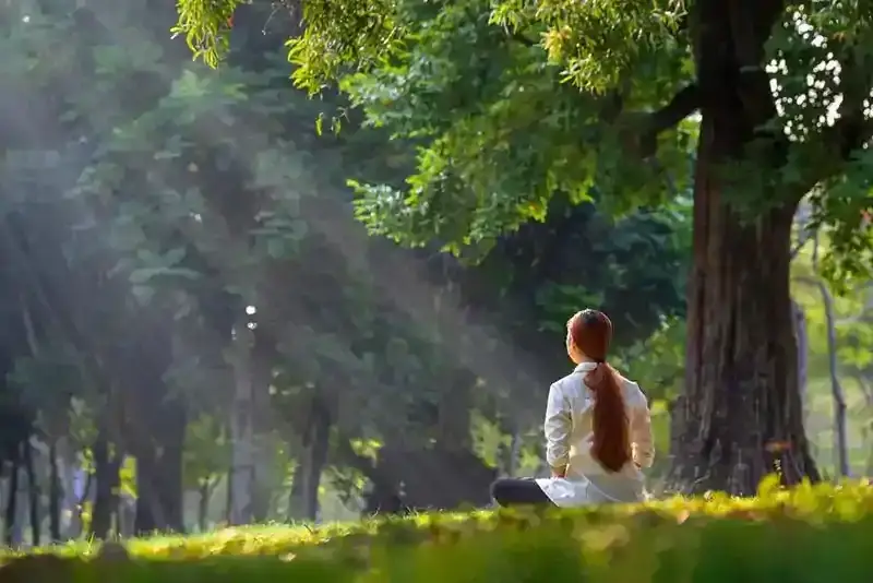 Meditasyon ve Mindfulness ile Stresi Azaltma Teknikleri 2025