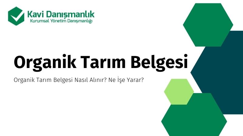 Organik Tarımın Önemi ve Faydaları: Sağlıklı Bir Gelecek İçin Doğal Seçim