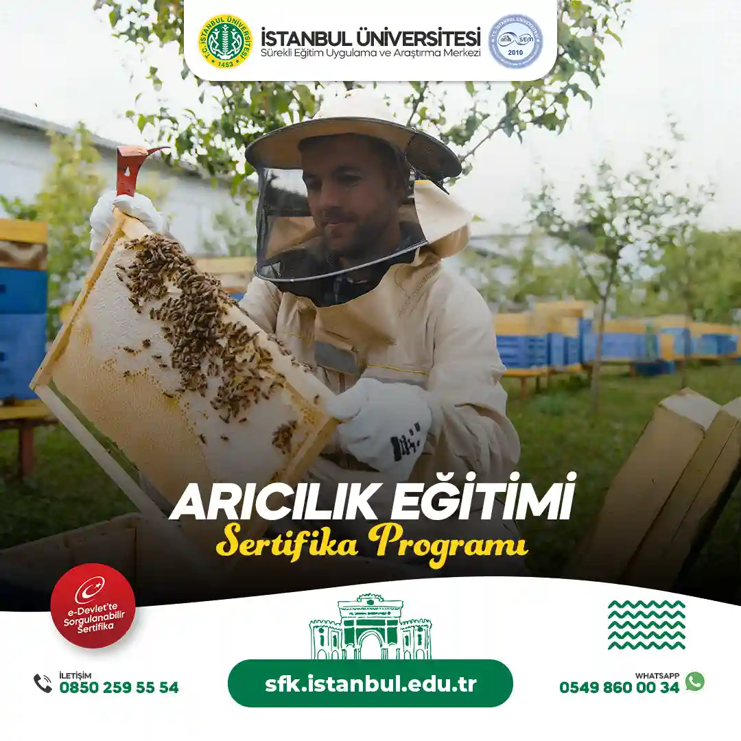 Yeni Başlayanlar İçin Arıcılık: Bal Üretimine Giriş