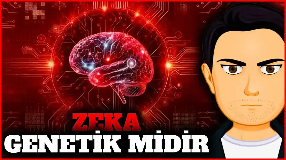 Zekâ Genetik mi Sonradan mı Gelişir? - Kapsamlı Bir İnceleme